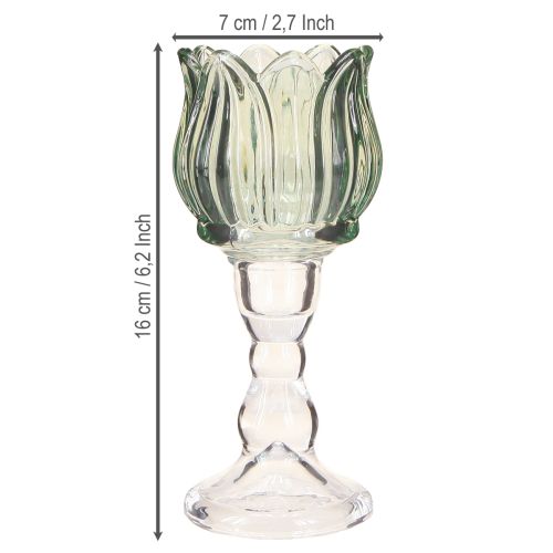 Artikel Fyrfadsstage tulipanglas fyrfadslysglas grøn Ø7cm H16cm 2stk
