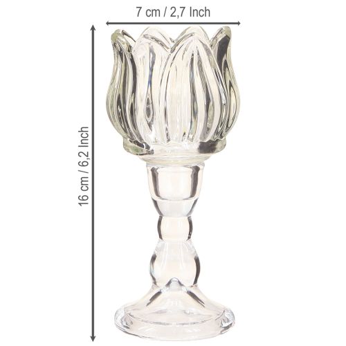 Artikel Fyrfadsstage tulipan fyrfadsglas med fod klar Ø7cm H16cm 2stk