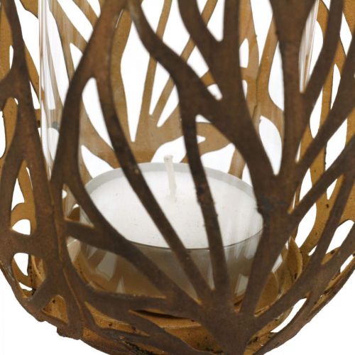 Floristik24 Lanterne rust look, fyrfadsstage retro Ø13cm H30cm
