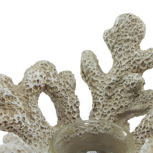 Artikel Fyrfadsstage koral dekoration maritim grå Ø12cm H8cm