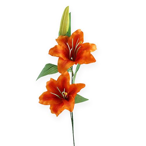 Floristik24 Tigerlilje orange 47cm