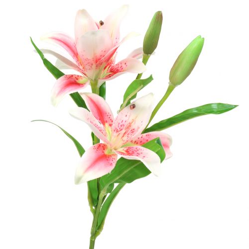 Floristik24 Tiger Lily Pink, Hvid 60cm