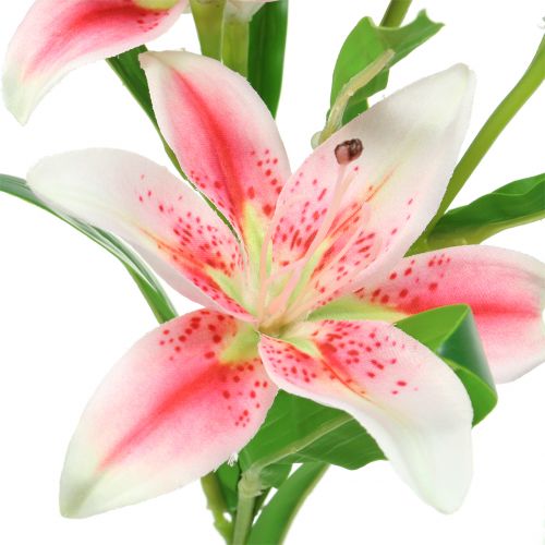 Artikel Tiger Lily Pink, Hvid 60cm