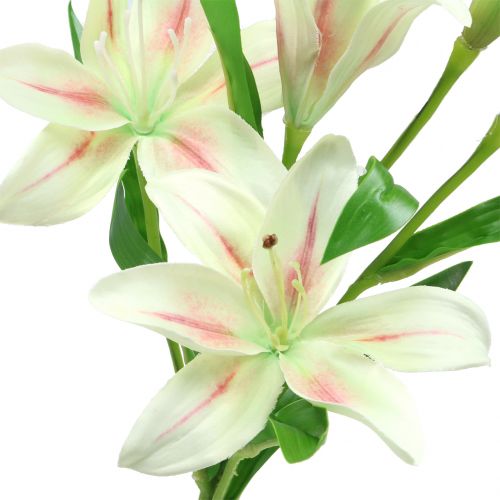 Floristik24 Tiger Lily Creme 60cm