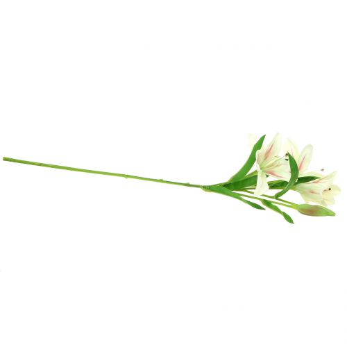 Floristik24 Tiger Lily Creme 60cm