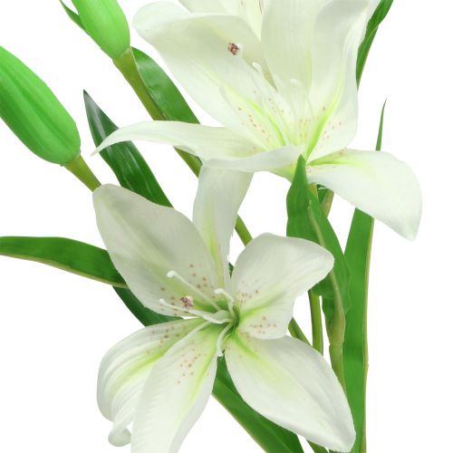 Floristik24 Lilje hvid 58cm