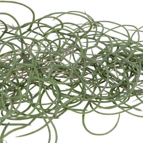 Floristik24 Tillandsia kunstgrå 130 cm