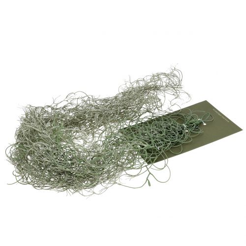 Floristik24 Tillandsia kunstgrå 130 cm
