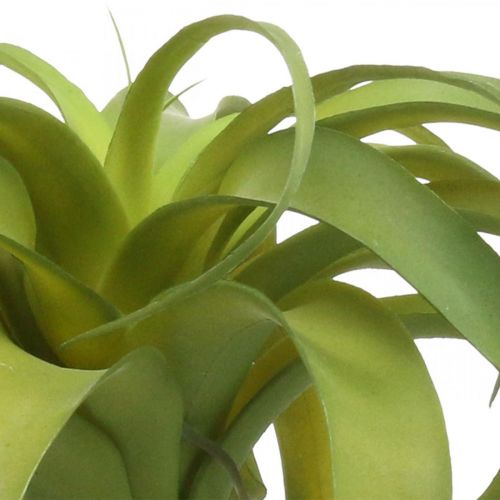 Floristik24 Tillandsia kunstig at holde lysegrøn kunstig plante 30cm