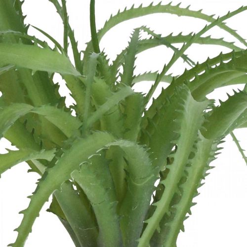 Floristik24 Aloe kunstig grøn kunstig plante til stick grøn plante 38Øcm