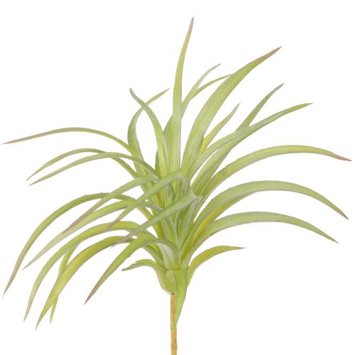 Floristik24 Tillandsia Grønne Kunstplanter med Pind Ø17cm 3 stk