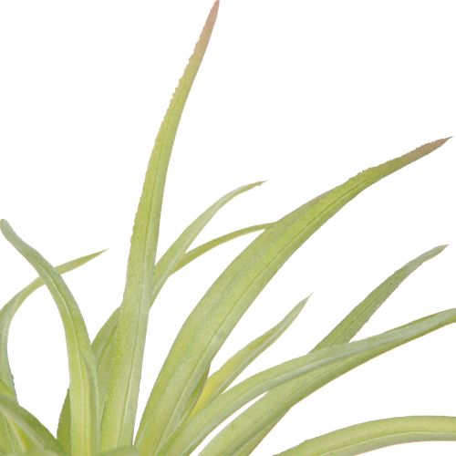 Artikel Tillandsia Grønne Kunstplanter med Pind Ø17cm 3 stk