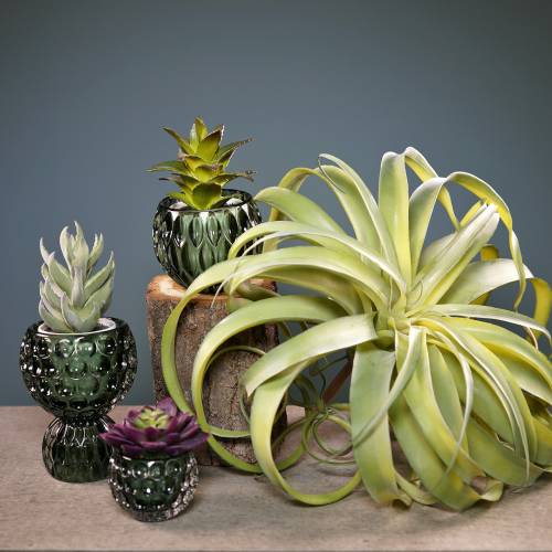 Floristik24 Tillandsia kunstig at holde lysegrøn kunstig plante 30cm