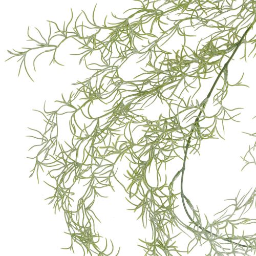Floristik24 Tillandsia bøjle grøn 160cm