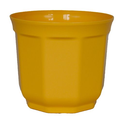 Floristik24 Planter Tino 13 cm gul (10stk.)