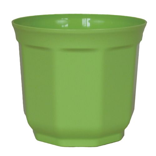 Floristik24 Tino planter limegrøn