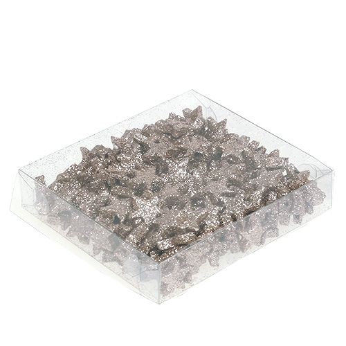 Floristik24 Borddekoration stjerne glimmer champagne 1,5 cm 144p