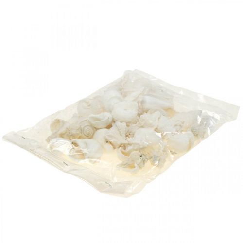 Floristik24 Borddekoration maritim, tomme sneglehuse hvide 4-5cm blanding 500g