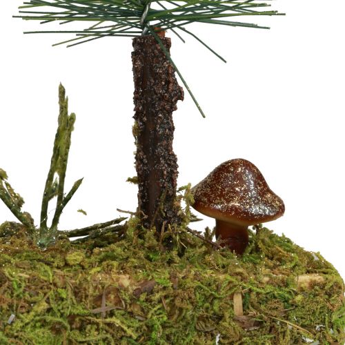 Floristik24 Borddekoration minigrantræer kunstgran skovfod 30cm