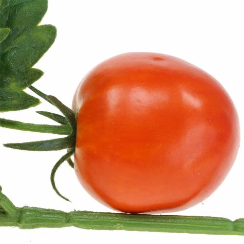 Floristik24 Tomatgren Rød 38cm