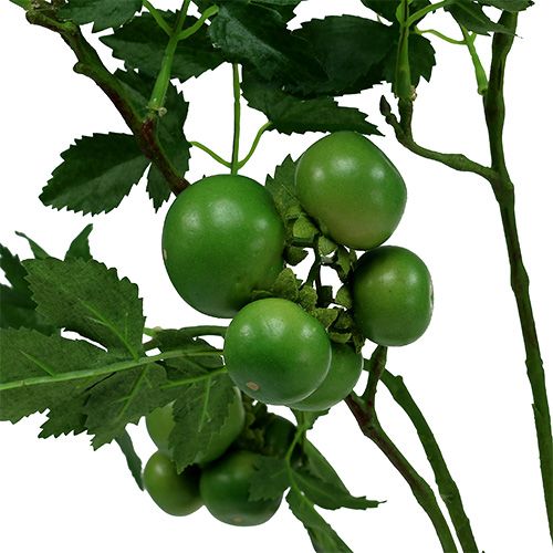 Floristik24 Tomatgren L60cm grøn