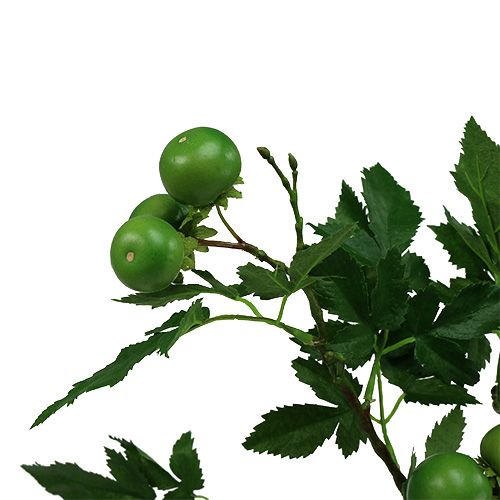 Floristik24 Tomatgren L60cm grøn