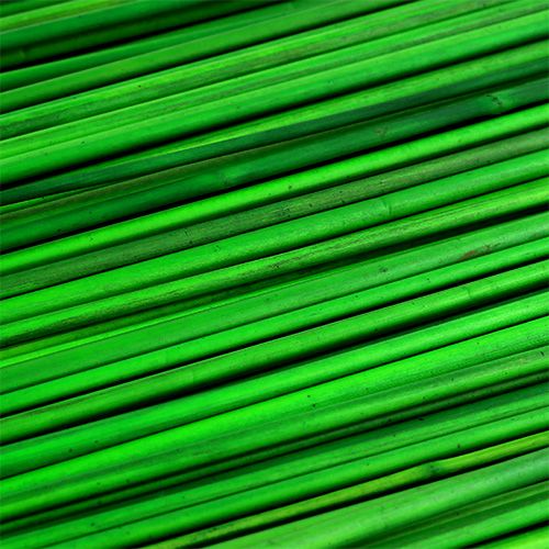 Floristik24 Tonkin grøn 70cm 150p.