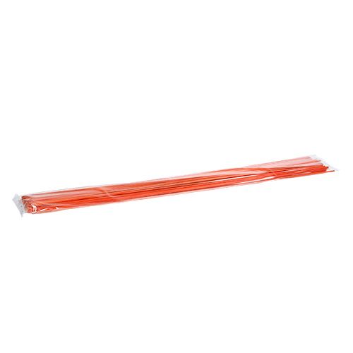 Floristik24 Tonkin Orange 70cm 150p.