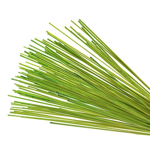 Floristik24 Tonkin dekorative pinde 70cm lysegrøn 150 stk