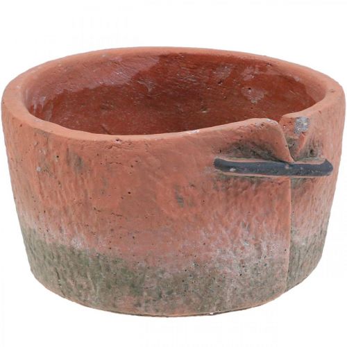 Floristik24 Beton urtepotte cachepot terracotta potte Ø18,5cm H10,5cm