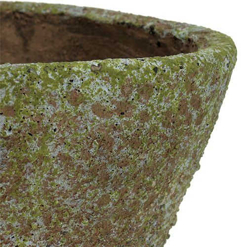 Floristik24 Potegrå moset Ø16cm H13.5cm 1p