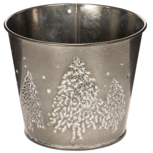 Metalplantekasse med glimmergrantræer, 13 cm købe | Floristik24.dk