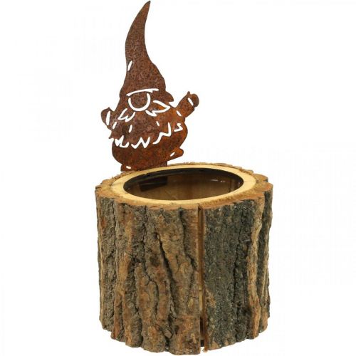 Urtepotte træ planter træ ser rusten ud imp H24cm