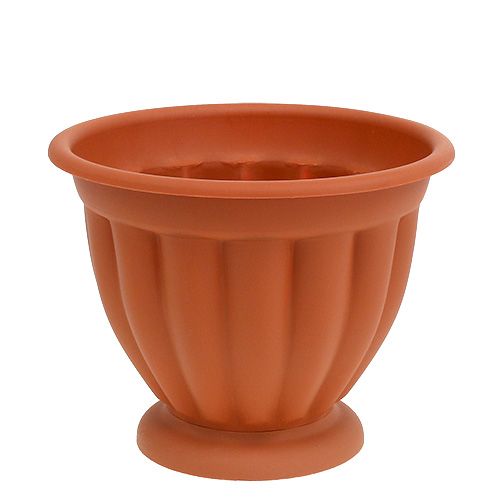 Floristik24 Gryde med bund Ø17 cm H14 cm