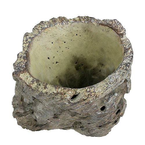Floristik24 Krukke som træstamme Ø10,5cm H12cm 2stk