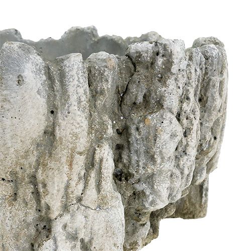 Floristik24 Gryde med bark 20,5 cm x 17 cm 1 stk