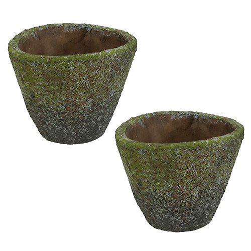 Gryde til plantning Ø12cm H11cm 2stk