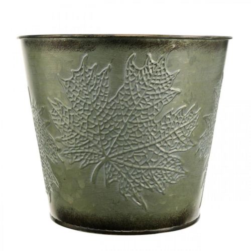 Artikel Plantekrukke med efterårsdekoration, metaldekoration, efterårsplanter grøn Ø18,5cm H17cm