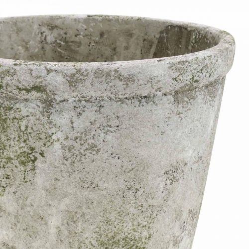 Floristik24 Urtepotte i antik look med patinabeton Ø17,5cm H14cm