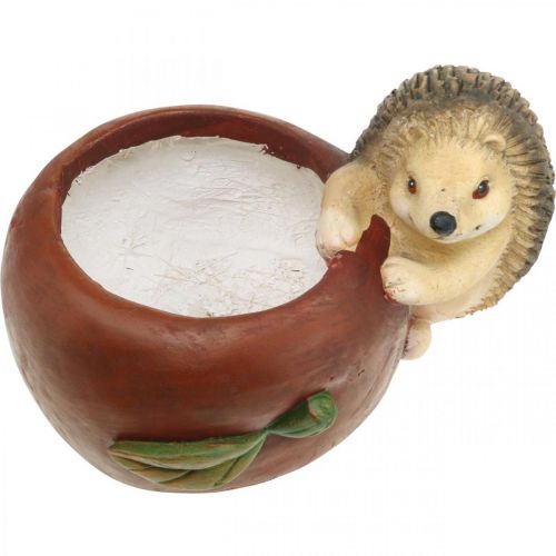 Artikel Plantekasse, æble med pindsvin, efterårsdekoration, cachepot, keramik Ø16cm H22cm B33cm