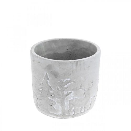 Floristik24 Plante med skovmotiv, vinterdekoration, planter udført i beton, Advent Ø12,5cm H11cm