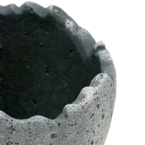 Floristik24 Plantekrude æggeskal Ø12cm H11,5cm 6stk