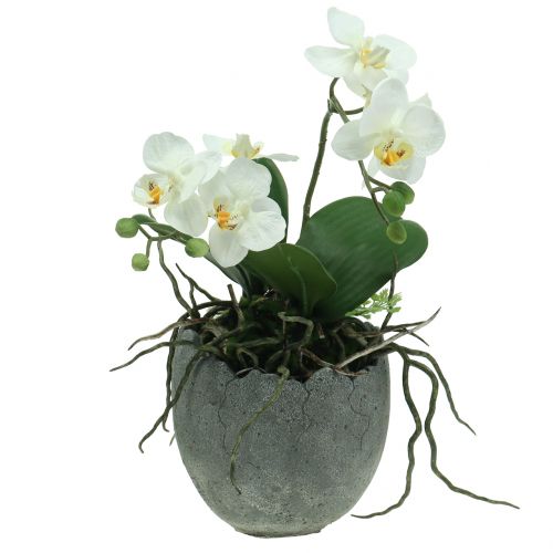 Floristik24 Betonplantepotte æggeskal Ø14,5cm 15cm 2stk