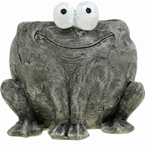 Artikel Grydeskjuler frø med smilegrå 11x12cm