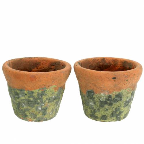 Floristik24 Plantepottepottemaskine vintage naturler Ø14,5cm H12cm 2stk