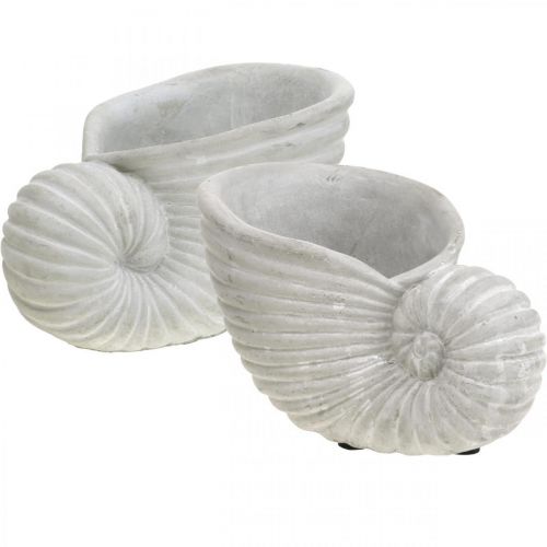 Skaller til plantning, maritim dekoration, plantekrukke Nautilus beton L15cm H9,5cm 2stk.
