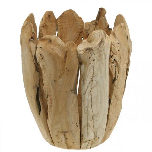 Floristik24 Plantekrukke Paulownia træ, cachepot, træ dekoration H32cm Ø28cm