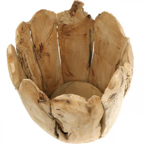 Floristik24 Plantekrukke Paulownia træ, cachepot, træ dekoration H32cm Ø28cm