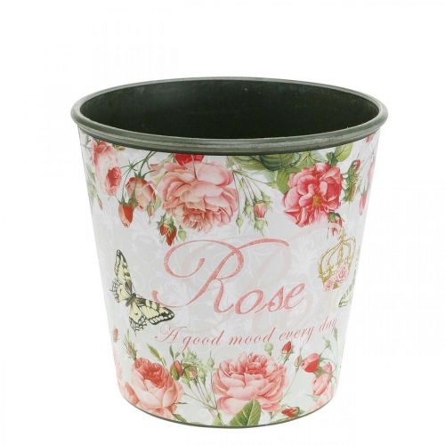 Floristik24 Plantekasse, spand til udplantning, plantekasse med rose H13cm Ø13,5cm