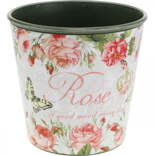 Floristik24 Plantekasse, spand til udplantning, plantekasse med rose H13cm Ø13,5cm